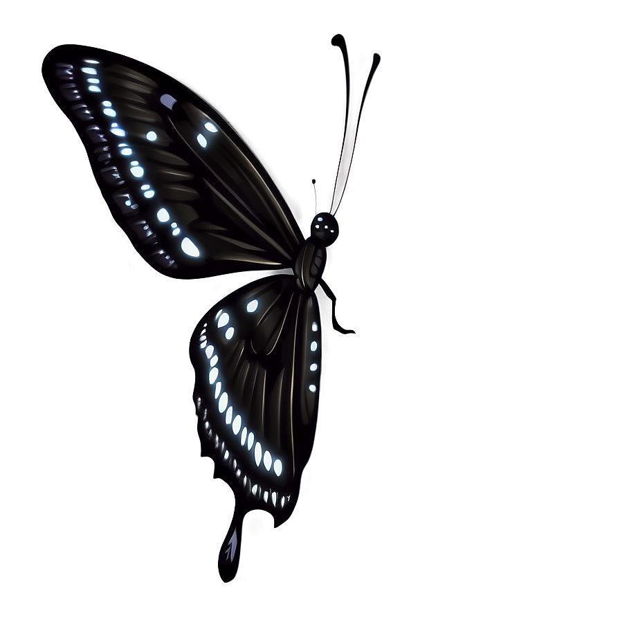 Elegant Black Butterfly Art Png 06252024