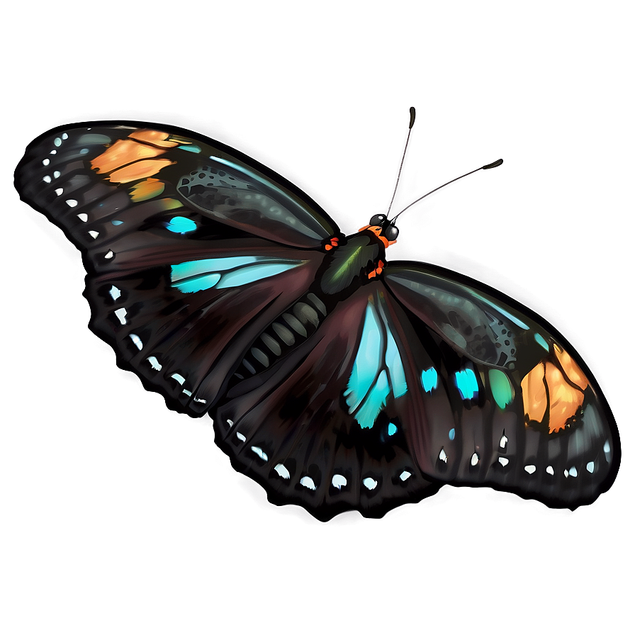 Elegant Black Butterfly Art Png Gvf