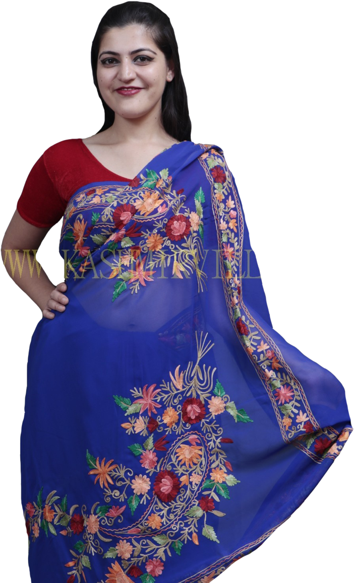 Elegant Blue Embroidered Saree Model