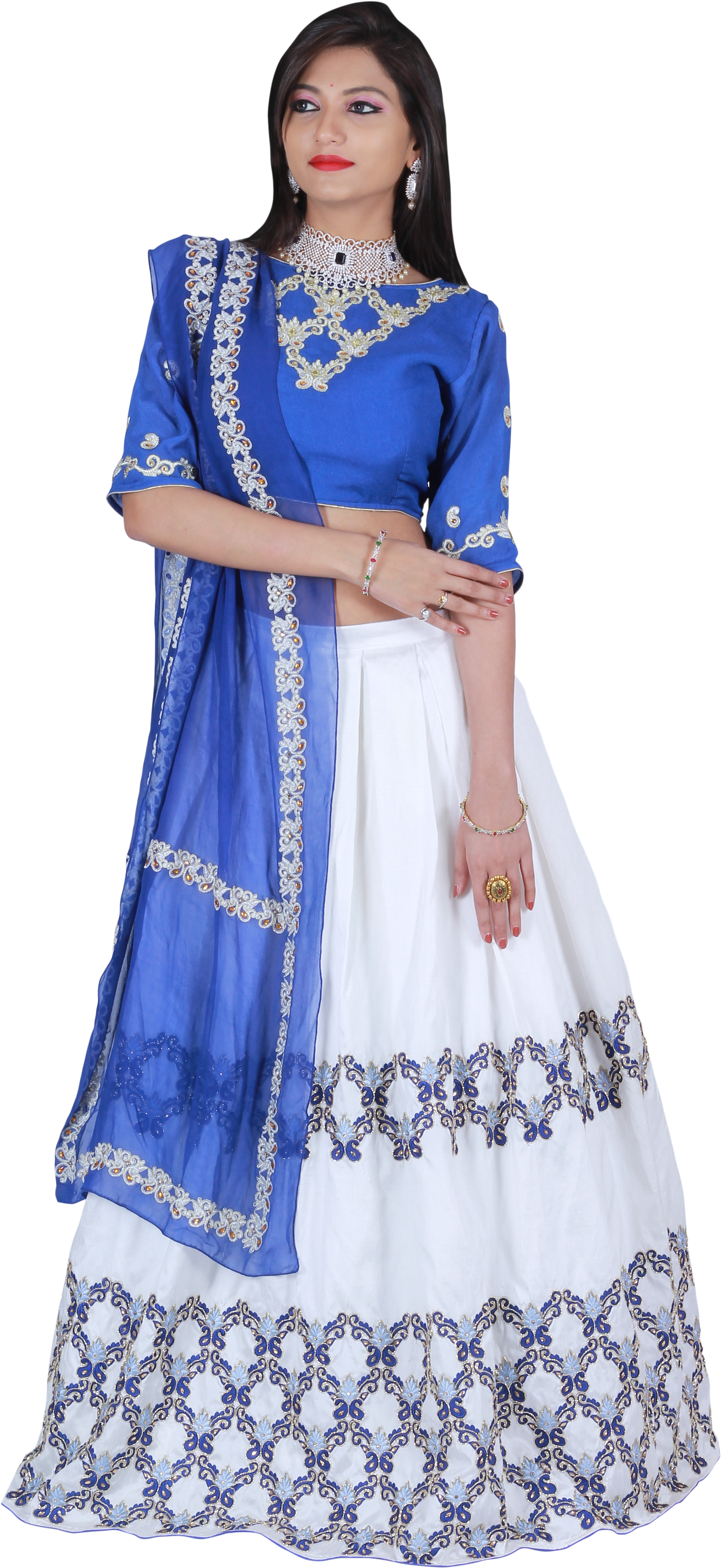 Elegant Blueand White Lehenga Choli