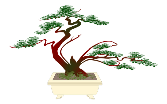 Elegant Bonsai Tree Illustration