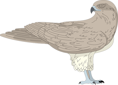 Elegant Brown Bird Illustration