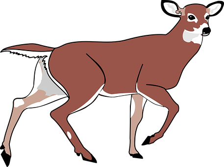 Elegant Brown Deer Illustration