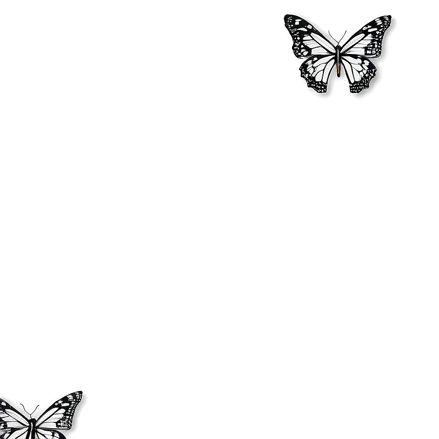 Elegant Butterfly Outline Png Eik