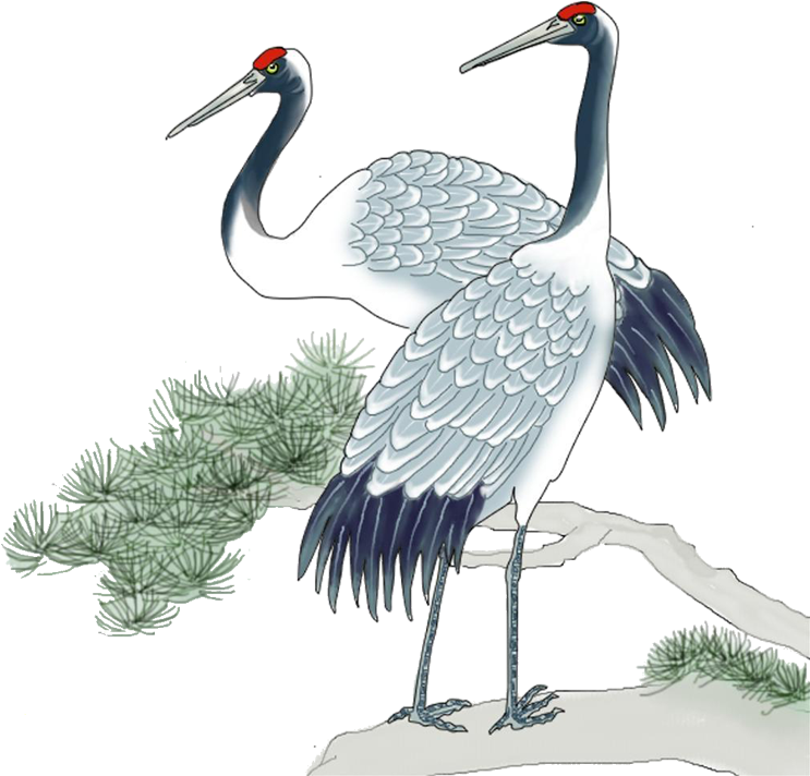 Elegant Cranes Illustration