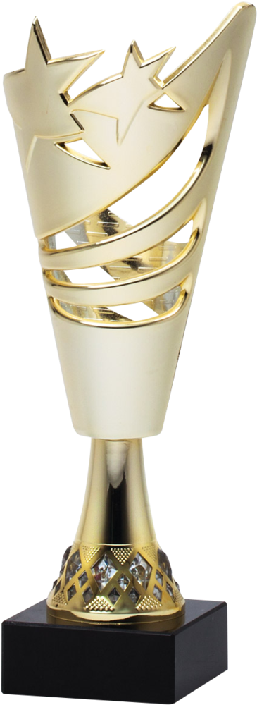 Elegant Cricket Trophy Design