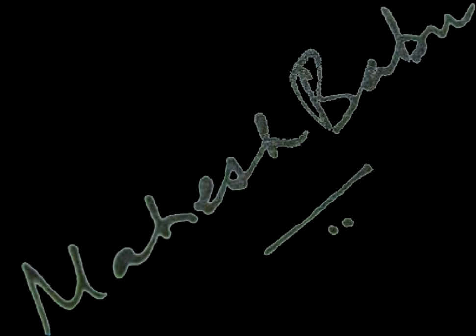 Elegant Cursive Signature