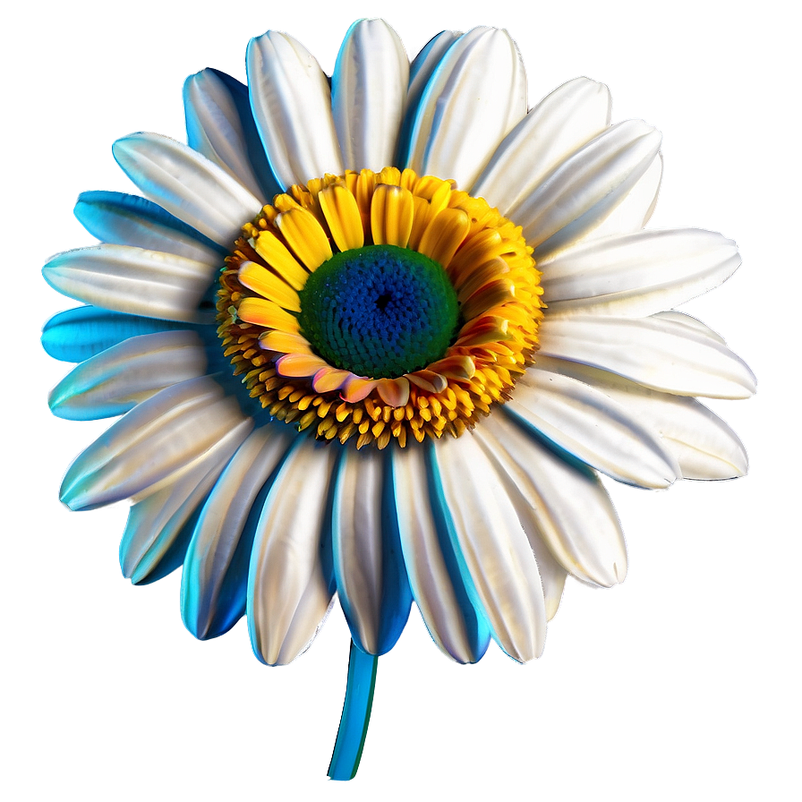 Elegant Daisy Png Oxs