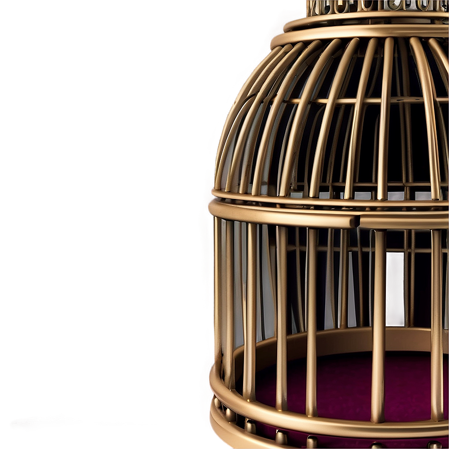 Elegant Decorative Cage Png 40