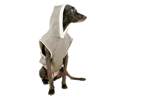 Elegant Dogin Hooded Cloak