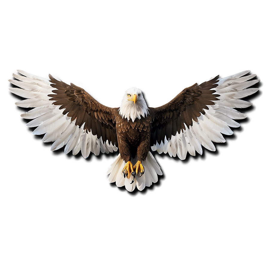 Elegant Eagle Wings Png 55