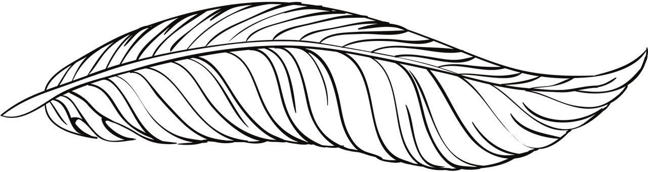 Elegant Feather Illustration