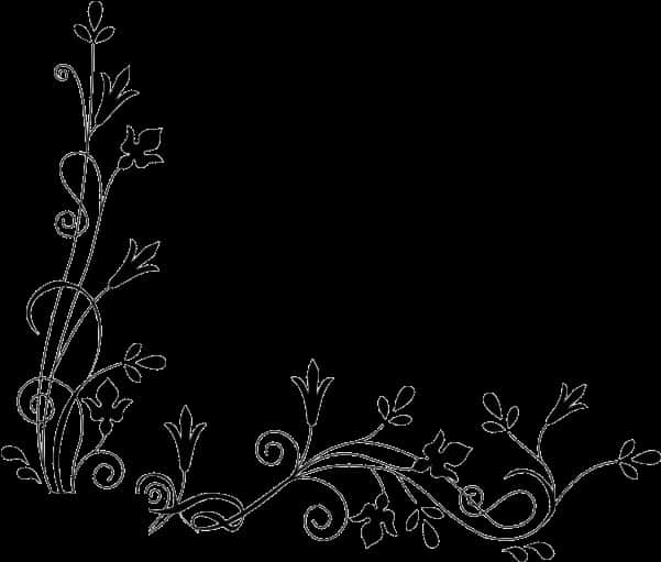 Elegant_ Floral_ Border_ Design