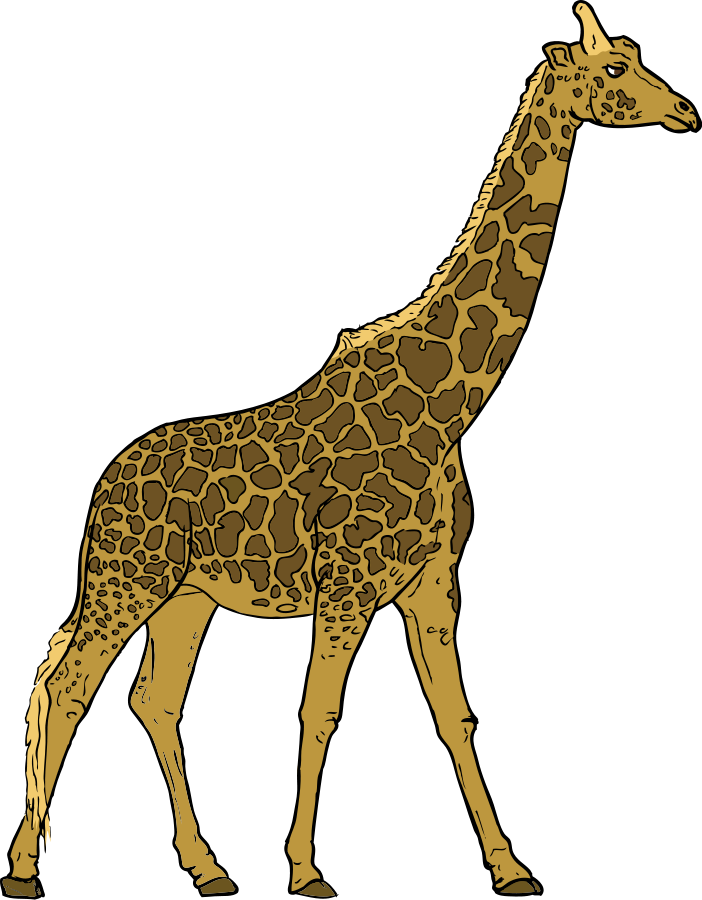 Elegant Giraffe Standing Profile