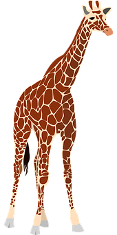 Elegant Giraffe Standing Vector