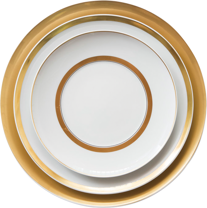 Elegant Gold Rimmed Dinner Plates