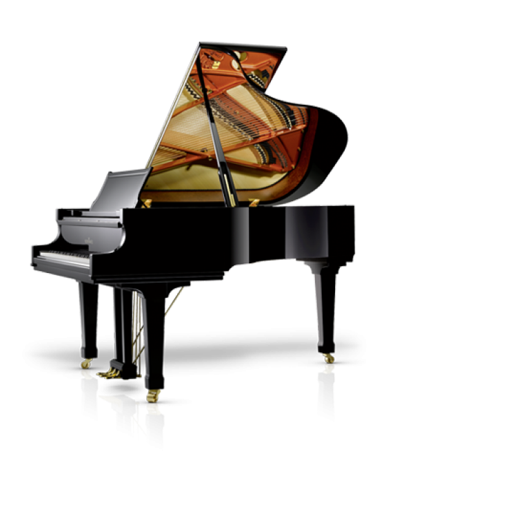 Elegant Grand Piano