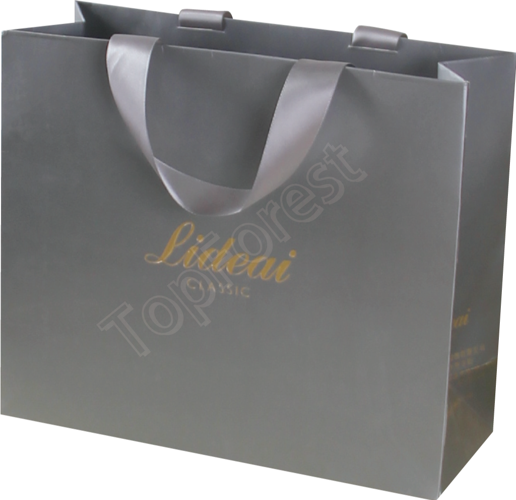 Elegant Gray Paper Shopping Bag