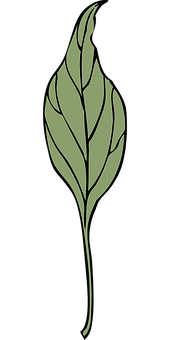 Elegant Green Leaf Graphic