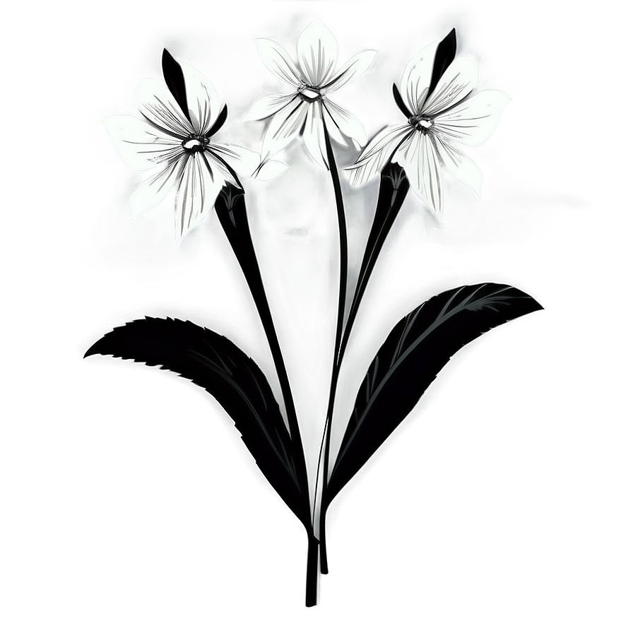 Elegant Monochrome Flowers Png Mcs