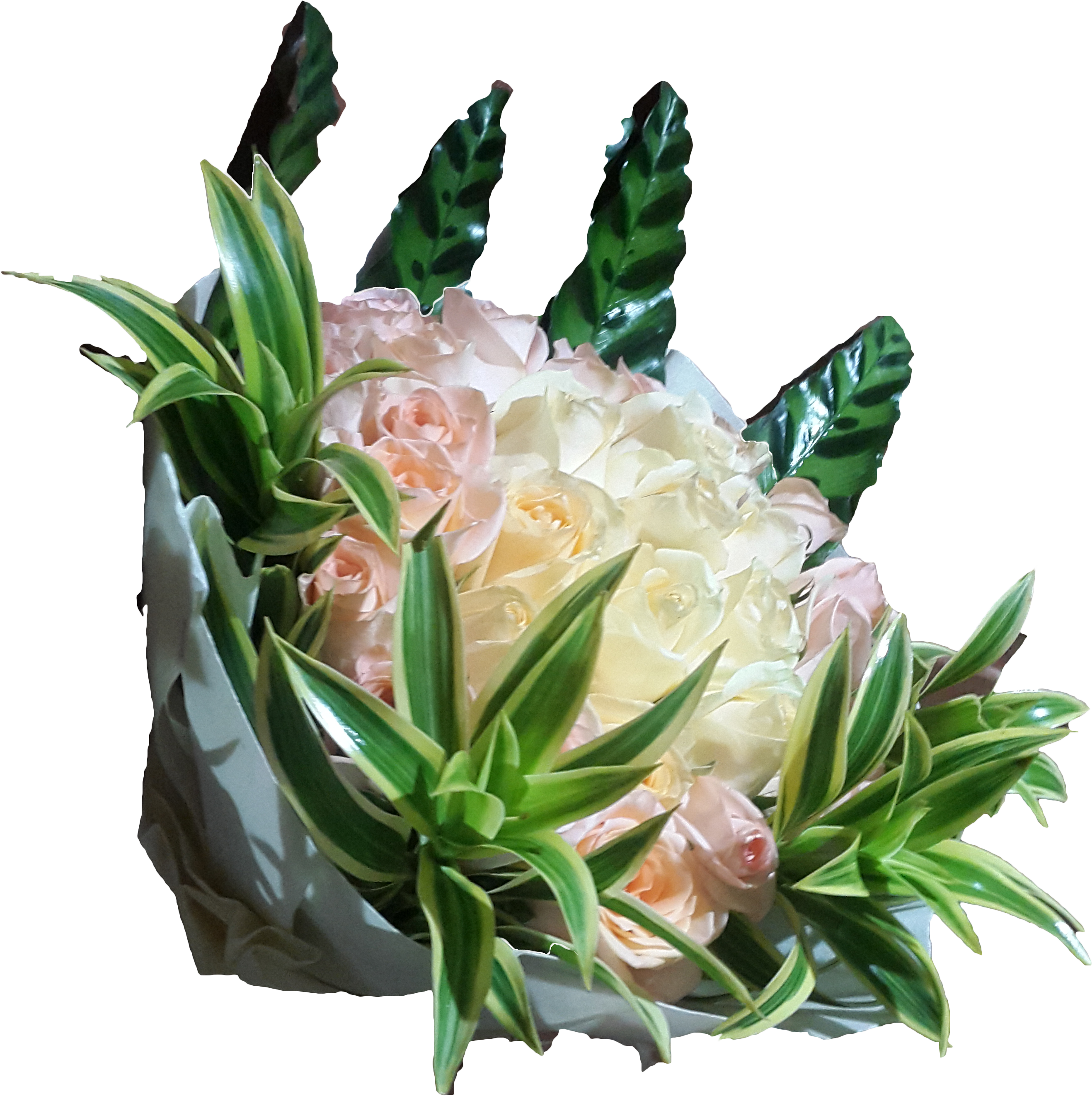 Elegant_ Pastel_ Rose_ Bouquet.png