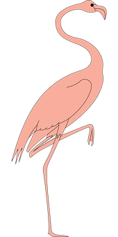 Elegant Pink Flamingo Graphic