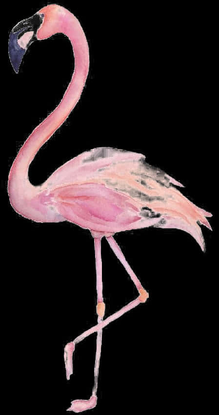 Elegant Pink Flamingo Standing