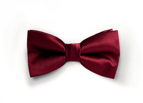 Elegant Red Bow Tie