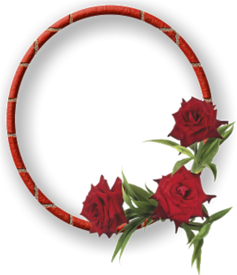 Elegant Red Rose Frame