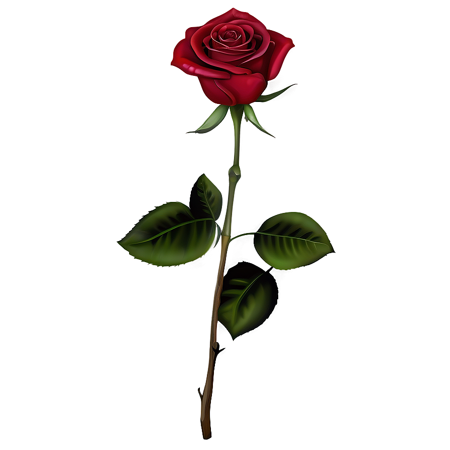 Elegant Red Rose Png Ifh