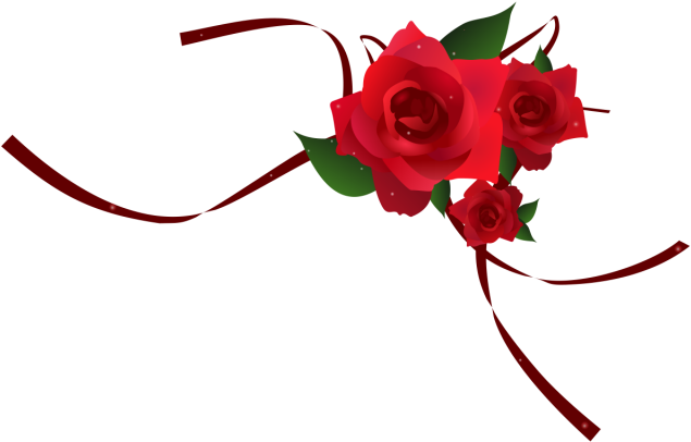 Elegant Red Roses Transparent Background