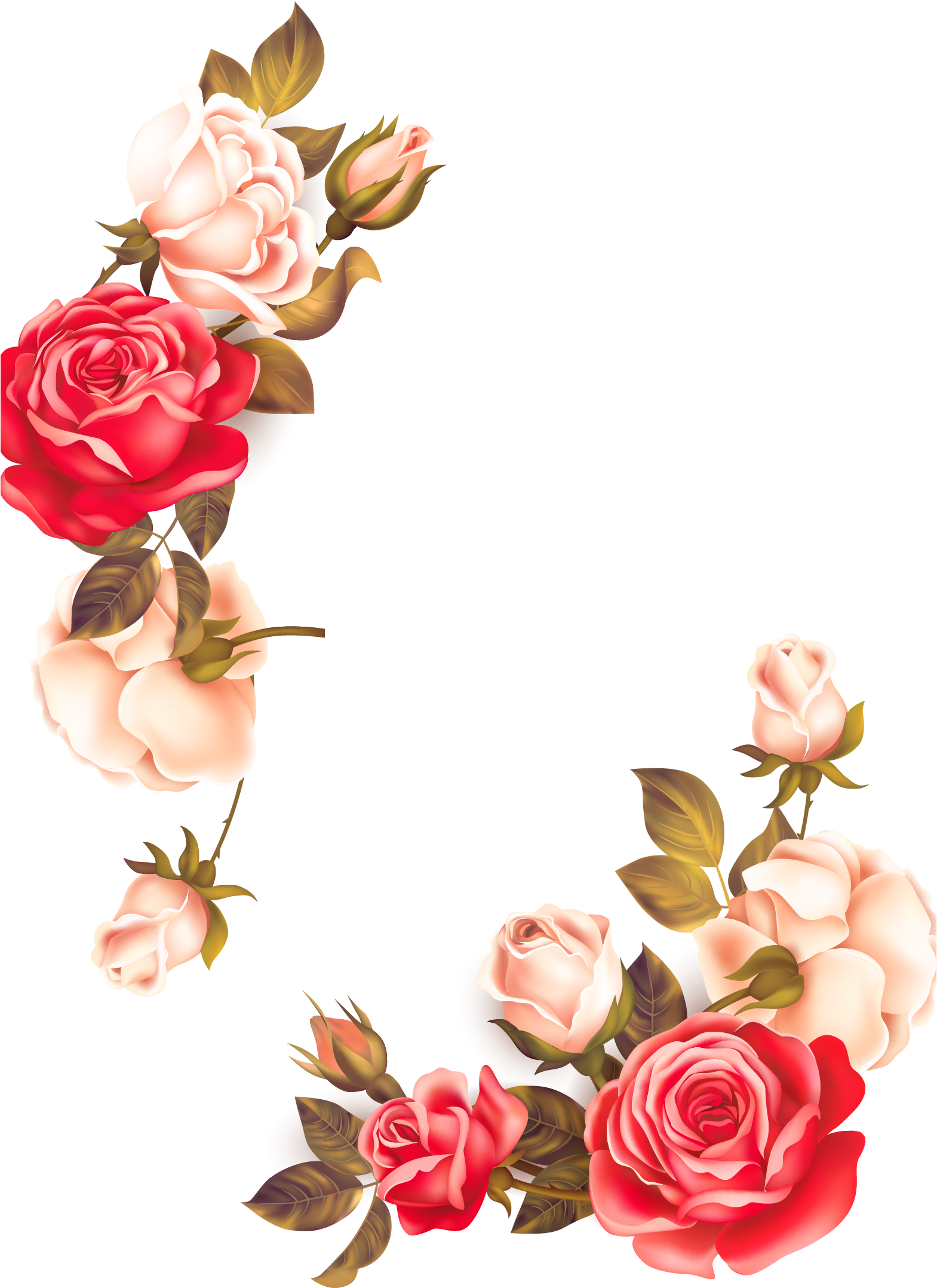 Elegant Rose Flower Border