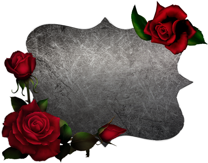 Elegant Rose Frame Design