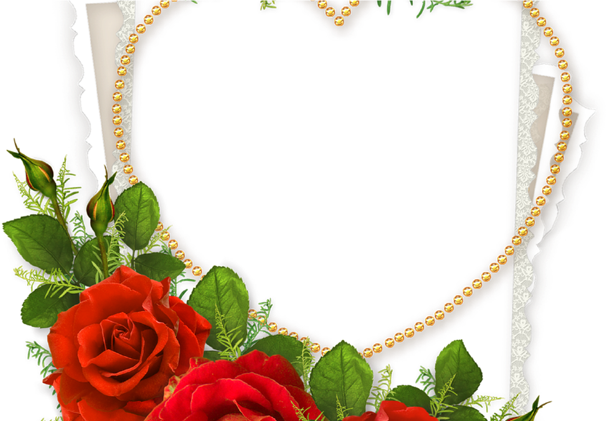 Elegant Rose Frame Design