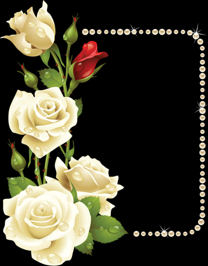 Elegant Roses Pearl Border Graphic