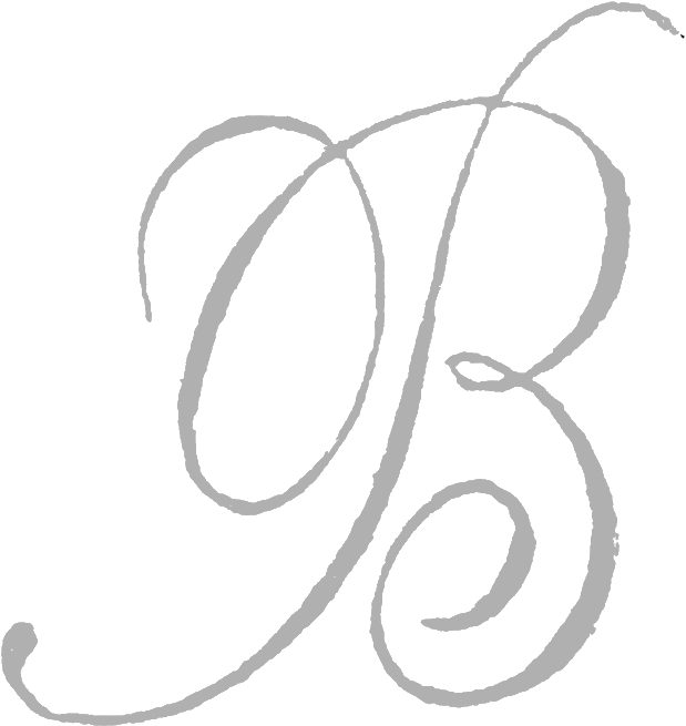 Elegant Script Letter B