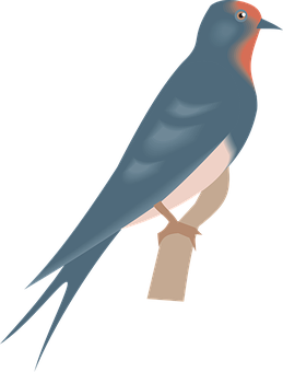 Elegant Swallow Illustration