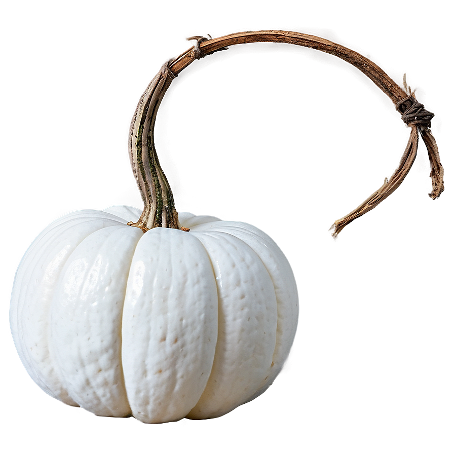 Elegant White Pumpkin Png Nfk