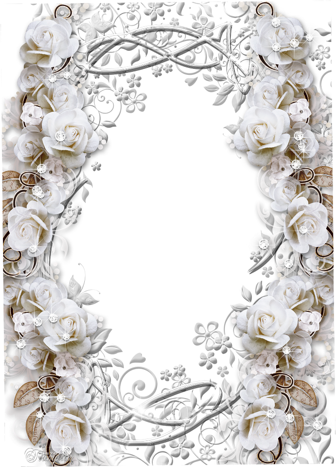 Elegant White Rose Frame