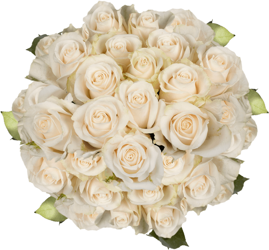 Elegant White Roses Bouquet