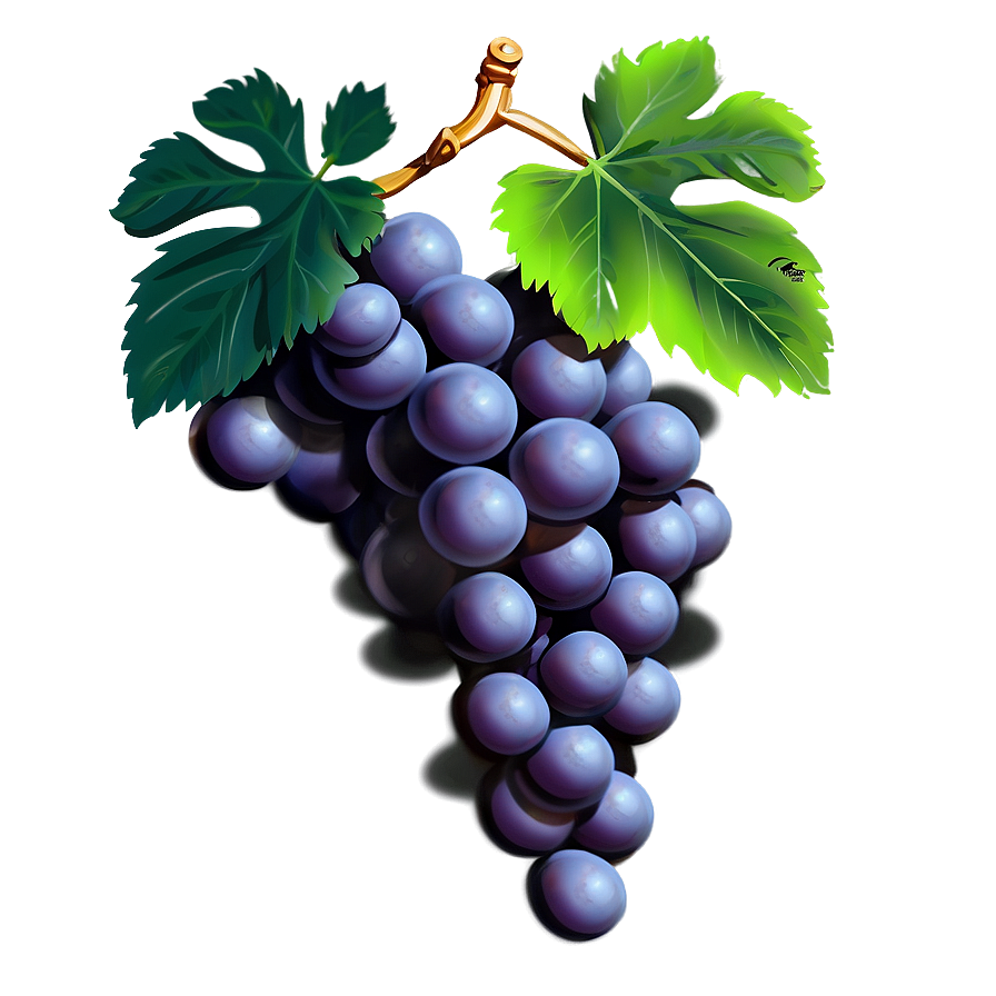 Elegantly Simple Grape Png Grf38