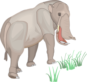 Elephant Grass Illustration