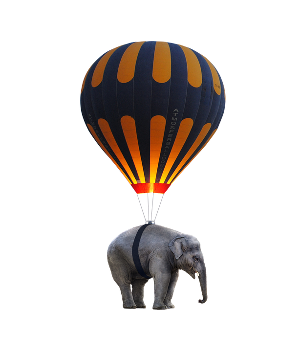 Elephant Hot Air Balloon Hybrid