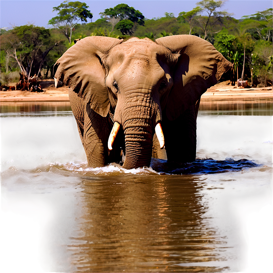 Elephant In River Crossing Png Alo31