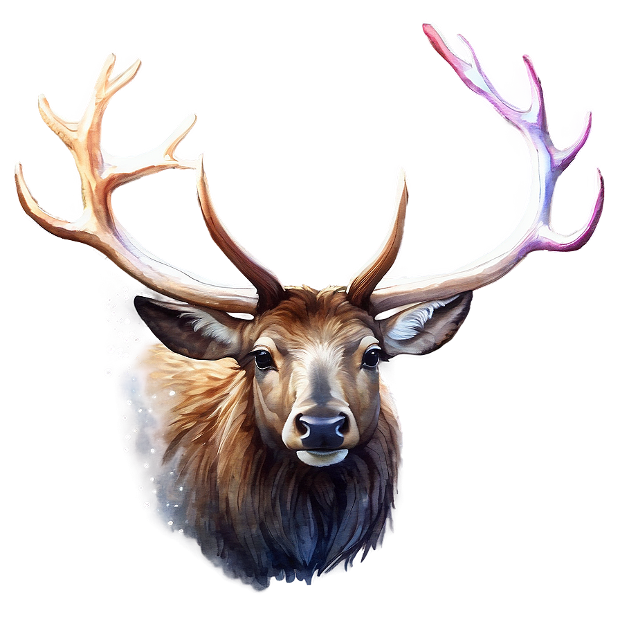 Elk Watercolor Png 05242024