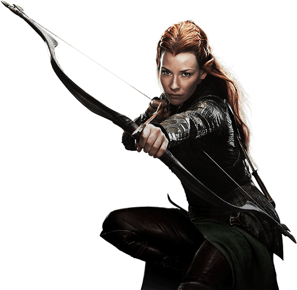 Elven Archer Readyfor Battle