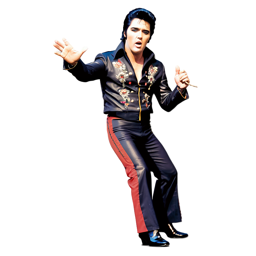 Elvis In Concert Png 26