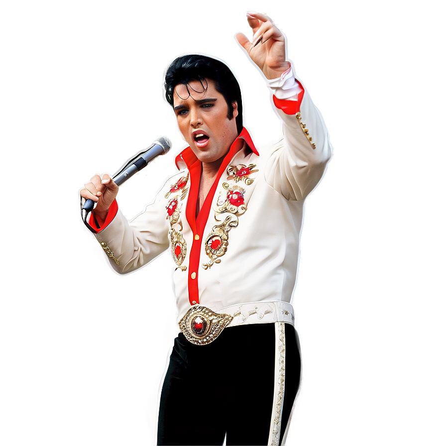 Elvis In Concert Png Naf