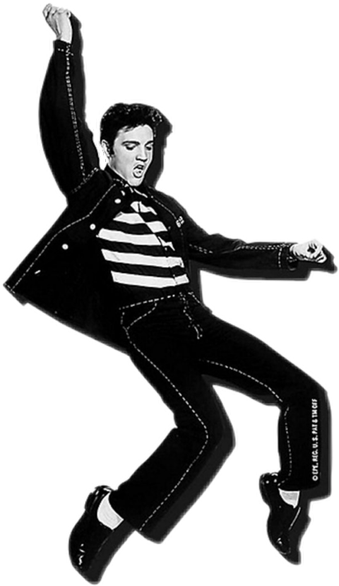 Elvis Presley Iconic Dance Pose