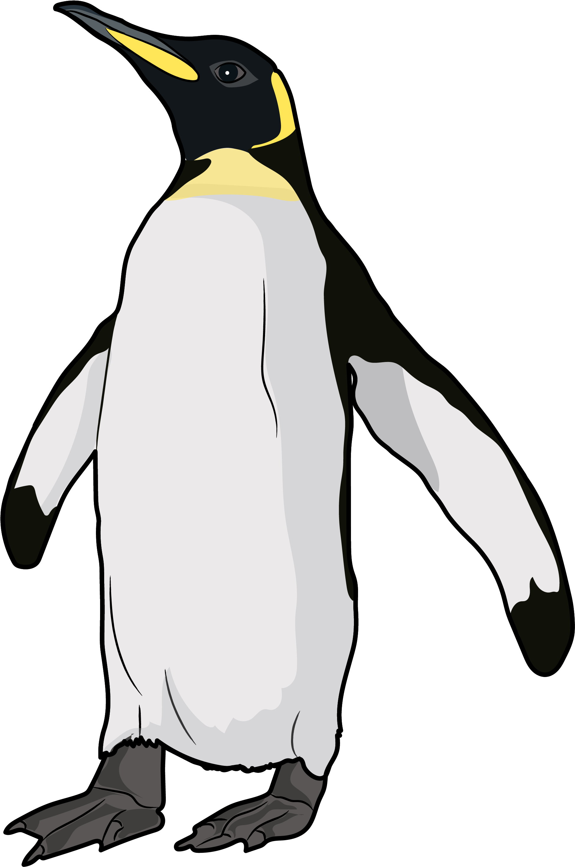 Emperor Penguin Illustration